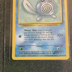 Pokemon TCG Poliwag Base Set 59/102 Common Regular Unlimited English 1999 40HP - Image 2