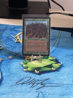 Wall of Wood Alpha Edition Regular - Image 1