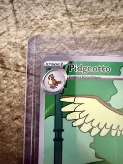 Pidgeotto 208/197 – Illustration Rare IR – Obsidian Flames – NM – Pokemon TCG - Image 2