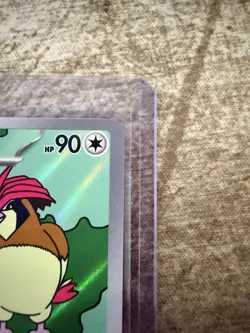 Pidgeotto 208/197 – Illustration Rare IR – Obsidian Flames – NM – Pokemon TCG - Image 3
