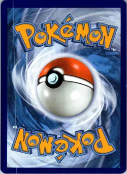 Raboot 027/198 Uncommon Chilling Reign Pokemon Reverse Holo Near Mint - Image 2