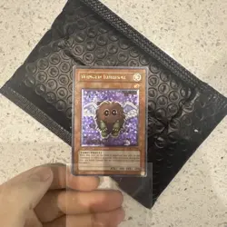 Yugioh Winged Kuriboh TLM-EN005 Ultimate Rare 1st Edition EURO LP - Image 1
