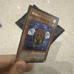 Yugioh Winged Kuriboh TLM-EN005 Ultimate Rare 1st Edition EURO LP - Image 4