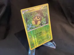 Pokemon Seedot 5/106 Reverse Holo - NM to LP - Image 2