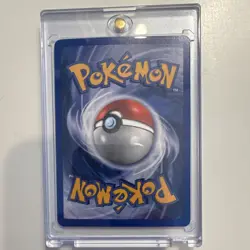 Pokemon TCG Seedot 77/100 EX Sandstorm Reverse Holo Common Basic English - Image 2
