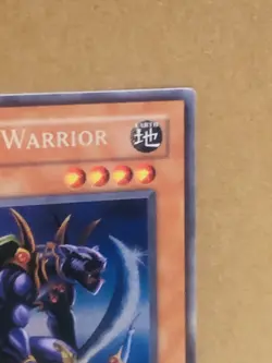 Panther Warrior Limited Ed. CT2-EN006 - Image 4