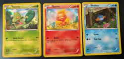 Pokemon Treecko Torchic Mudkip XY - Primal Clash Starter Trio Set Holo - Image 1