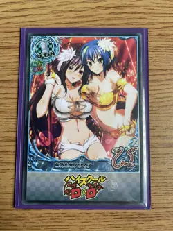 High School dxd ACG Akeno Himejima & Xenovia Sexy Party Time Waifu NM Card - Image 3