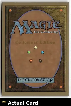 Magic: The Gathering Collectors' Edition Cursed Land - Image 2