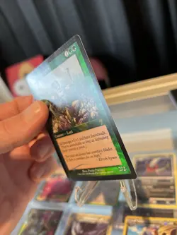 Wizards of the Coast Elvish Champion 7th Edition Foil Rare MTG English - Image 2