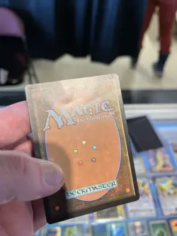 Wizards of the Coast Elvish Champion 7th Edition Foil Rare MTG English - Image 3
