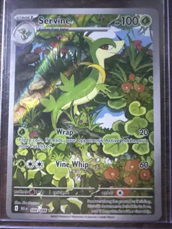 Servine 088/086 Illustration Rare, Black Bolt, Full Art Holo, Pokemon TCG, NM - Image 1