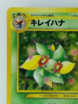 Bellossom Japanese Pokemon card Nintendo Holo Rare F/S NO.182 LV.36 HP70 TCG - Image 2