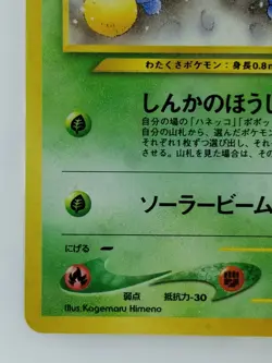 Jumpluff Japanese Pokemon card Nintendo Holo Rare TCG NO.189 LV.37 HP70 F/S - Image 5