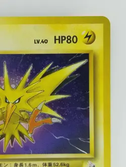 Zapdos Japanese Pokemon card Nintendo Holo Rare NO.145 LV.40 HP80 F/S TCG - Image 3