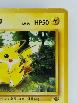 Pikachu Japanese Pokemon Card Nintendo Jungle No.025 LV.14 HP.50 Free Shipping - Image 3