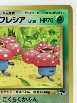 Vileplume Japanese Pokemon card Nintendo SouthernPromoHolo No.045 LV.30 HP.70 - Image 3