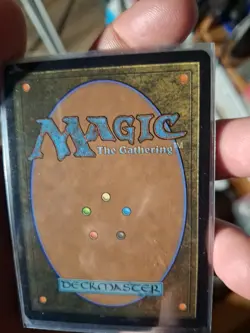 MTG Awaken The Woods English Non Foil Secrets Of Strixhaven Unplayed Mint - Image 3