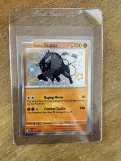 Paldean Tauros Pokemon SV Paldean Fates 172/091 Baby Shiny Rare Holo NM nagimiso - Image 1