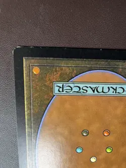Freed from the Real Masters 25 Regular - Image 3