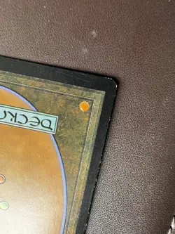 Freed from the Real Masters 25 Regular - Image 4
