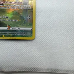 Bidoof GG29/GG70 Crown Zenith Galarian Gallery Ultra Rare Full Art Pokemon - Image 5
