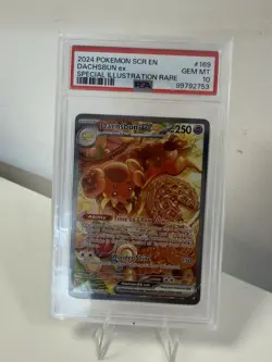 Pokemon TCG Dachsbun EX 169/142 Special Illustration Rare PSA 10 Stellar Crown - Image 1