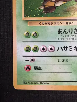 Pokemon TCG Pinsir 127 Japanese Holo Rare 60 HP 1996 Nintendo Basic - Image 4