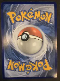 Umbreon & Darkrai GX SM241 Jumbo Card - LP/NM - Image 2