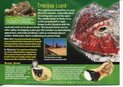 Weird N’ Wild Creatures Nightmares of Nature Card 29 # Regal Horned Lizard # LC2 - Image 2