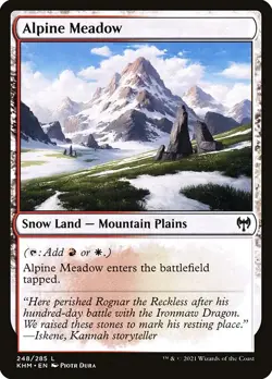 Alpine Meadow NonFoil Kaldheim 248 NM MTG - Image 1