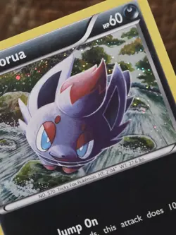 Pokemon TCG Zorua Holo BW12 Black Star Promo Card - Image 4