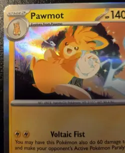 Pawmot 034/094 Holo Rare Phantasmal Flames Pokemon TCG - Image 2