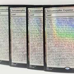 4x MTG SLD Secret Lair Drop Full Text Foil Terramorphic Expanse 585 Playset - Image 1