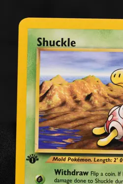 Shuckle 1st Edition 72/111 NM Neo Genesis Regular Common Pokemon TCG Card - Image 2