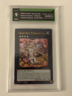 2023 Yugioh! - Traptrix Pinguicula #SDBT-EN042 / 1st Edition - Graded Degree 9 - Image 1