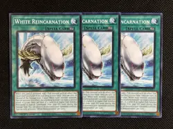 3x YuGiOh! - White Reincarnation MP25-EN317 Common 1st Edition Near Mint - Image 1