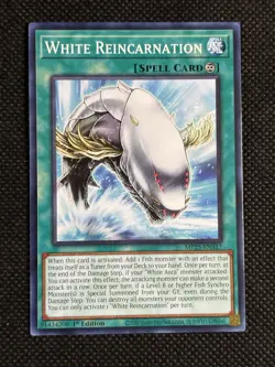 3x YuGiOh! - White Reincarnation MP25-EN317 Common 1st Edition Near Mint - Image 2