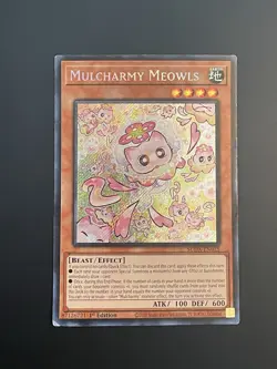 Yugioh! Mulcharmy Meowls Secret Rare 1st Edition, SUDA-EN025, Yu-Gi-Oh (2020) - Image 1