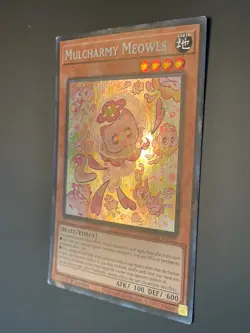 Yugioh! Mulcharmy Meowls Secret Rare 1st Edition, SUDA-EN025, Yu-Gi-Oh (2020) - Image 5