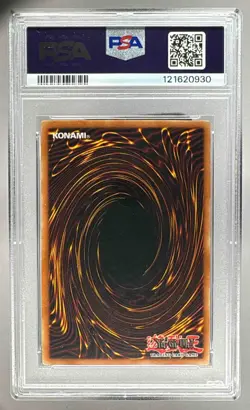 2002 Yu-Gi-Oh! 1 Blue-Eyes White Dragon PSA 8 121620930 - Image 2