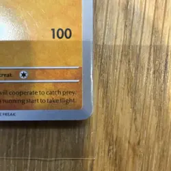 Pokemon Chicago Field Museum Fossil Exhibit Archeops Promo Card IN HAND - Image 3