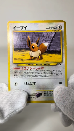 Pokemon Card Japanese Eevee No.133 Premium File 2 Promo Old Back Vintage MP - Image 2