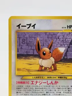 Pokemon Card Japanese Eevee No.133 Premium File 2 Promo Old Back Vintage MP - Image 4