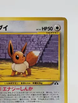 Pokemon Card Japanese Eevee No.133 Premium File 2 Promo Old Back Vintage MP - Image 5
