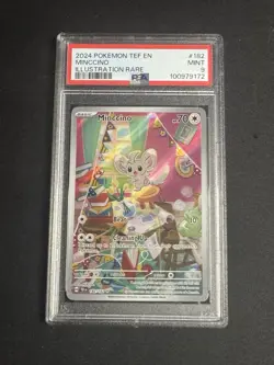 Pokemon Minccino Temporal Forces #182/162 PSA 9 Rare Holo Illustration TCG 2024 - Image 1