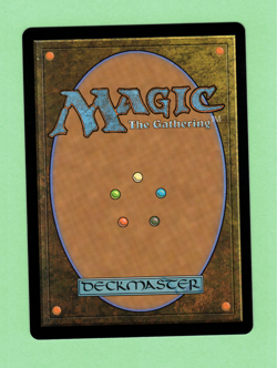 MTG - TENDER WILDGUIDE R 0325 BLB 2024 FOIL SHOWCASE EXTENDED ART - Image 2