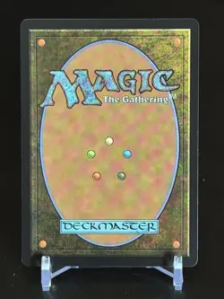 MTG Magic the Gathering Aetherdrift Plains 507 First-Place Foil Land - Image 2