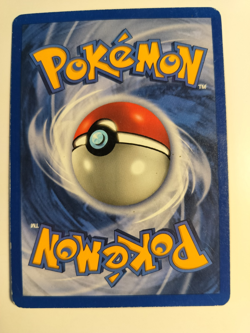PIDGEOT Pokemon Card #8 8/64 WOTC Jungle Holo Foil Rare Unlimited MP - Image 2
