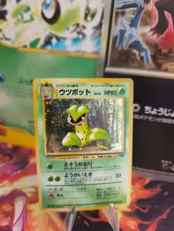 Pokemon Karte Card Victreebel Sarzenia Jungle Dschungel Holo Wotc japanese NM - Image 1